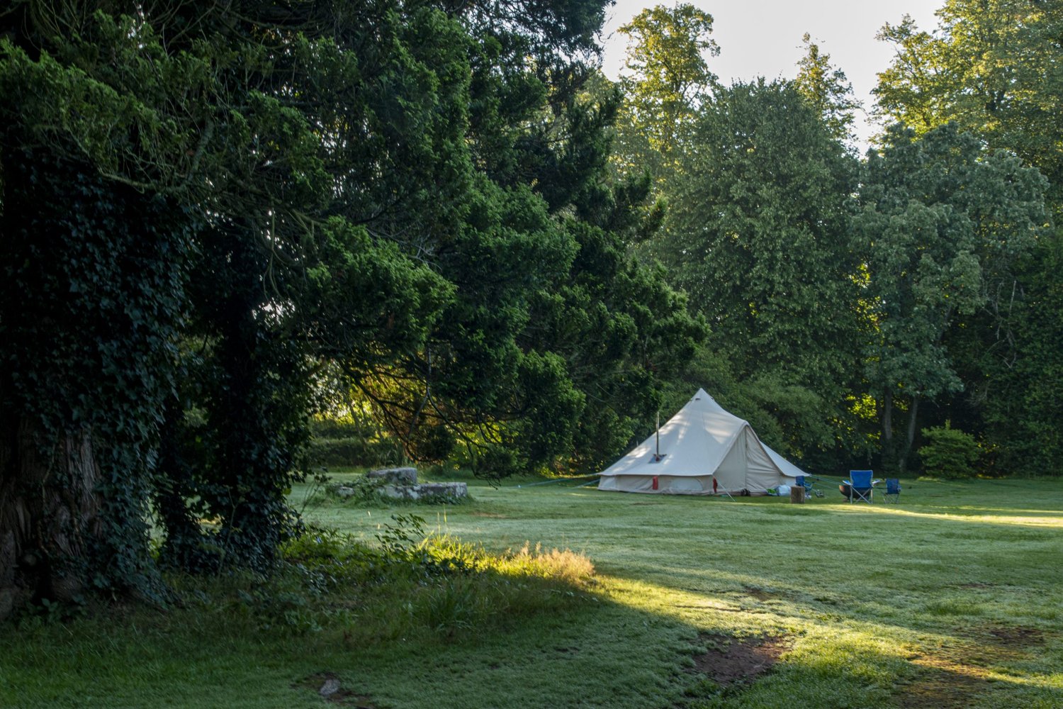 A bell tent in a grassy clearing surrounded by trees at Penpont.