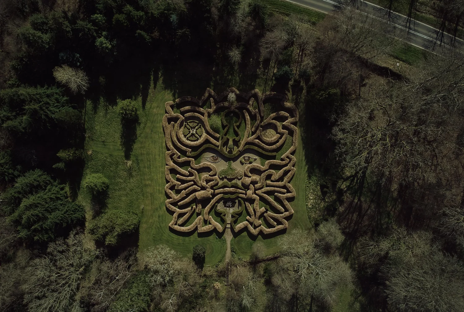 An aerial view of Penpont’s Greenman hedge maze, shaped like a leafy face.